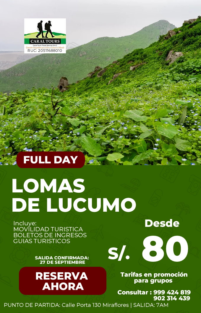 lomas de locumo